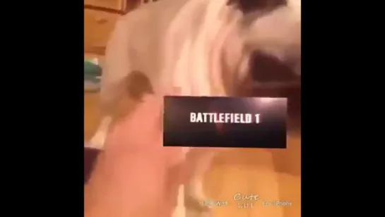 who's a good game