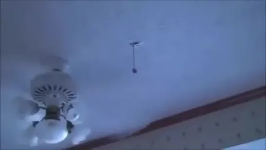 man puts hand in spinning fan unharmed