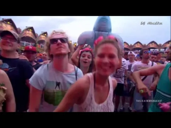 Tomorrowland 2014 - Weekend 1. Day Part - 2 Superman