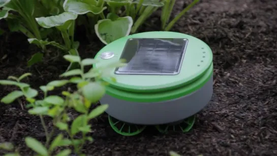 [Tertill™ - The solar powered weeding robot]