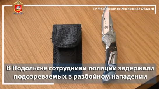 В Подольске сотрудники полиции задержали подозреваемых в разбойном нападении