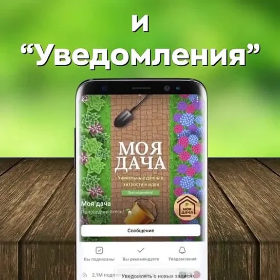 Мой сад - дачный советник