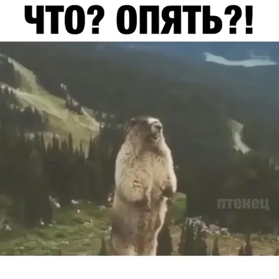 Ах, лето...