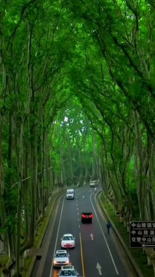 Наньцзинь/Nanjing🛣 •Китай/China🌎