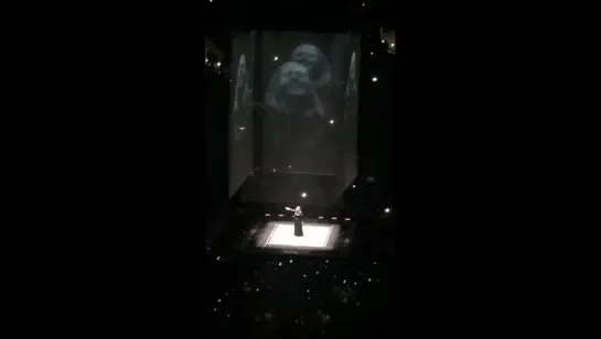 Lea’s videos from the Adele concert via Snapchat (August 13, 2016)