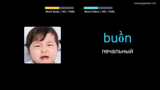 Golearn. Выучить вьетнамский через картинки