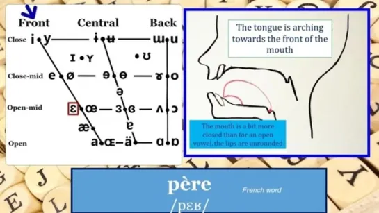 Learn to read the IPA Vowel Chart for any language