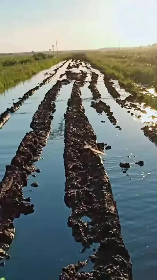 Дорога в Называевском районе (21.06.2019)