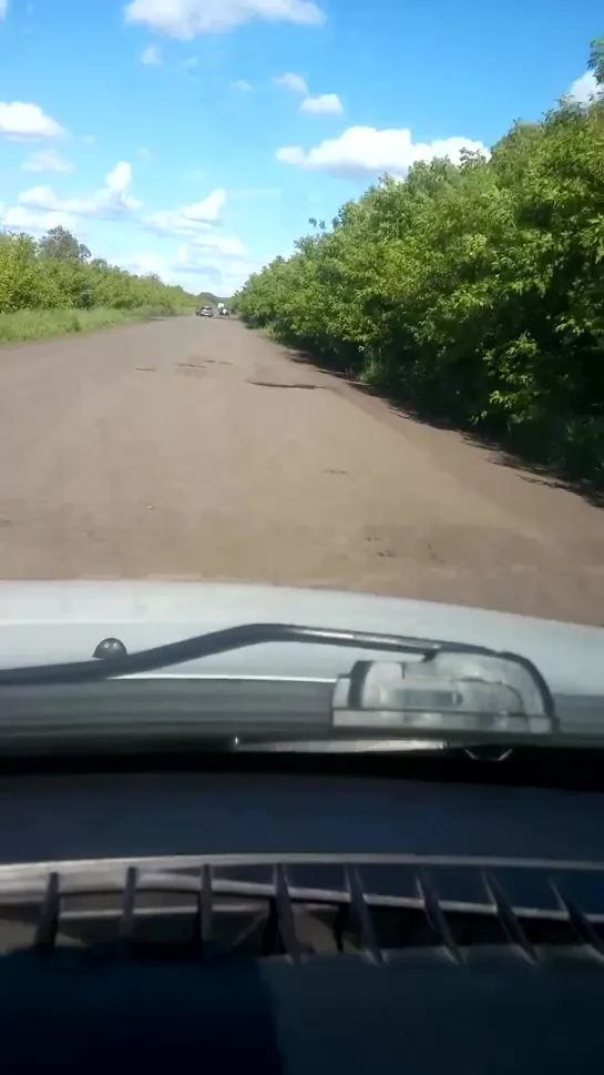 Шикарная дорога в сторону пос. Андреевский, Амур (19.06.2019)