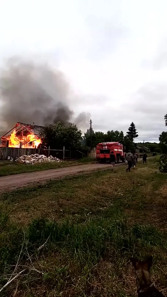 Пожар в Крутинском районе (14.06.2020)