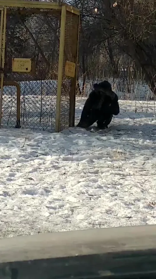 В поисках "счастья" на ул. 21-я Амурская (18.03.2019)