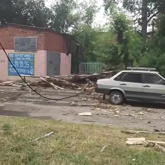 На ул. 4-я Кордная упало дерево (29.07.2019)