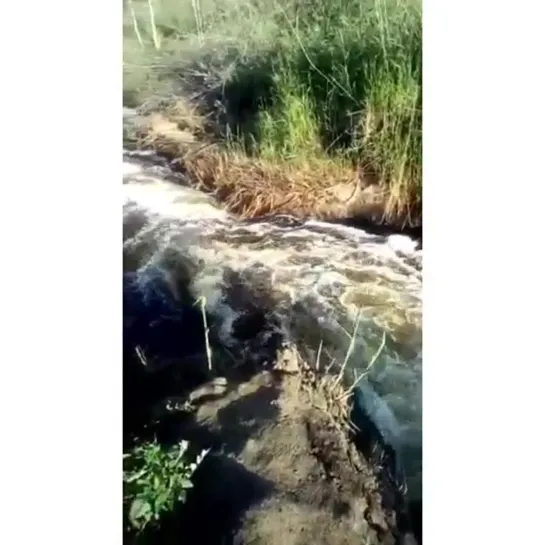 Нет воды в д. Епанчино (26.06.2019)