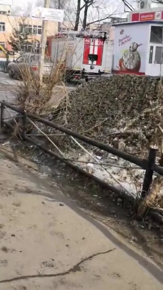 Эвакуации школы в Омске (19.03.2019)