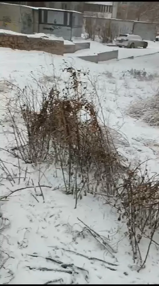 Видео от Андрея Родионова