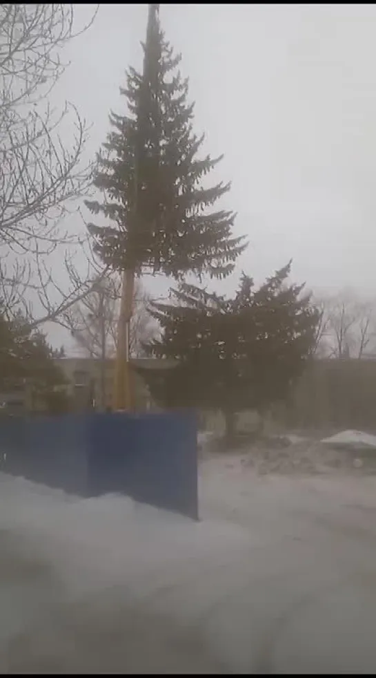 Видео от ЧП Омск