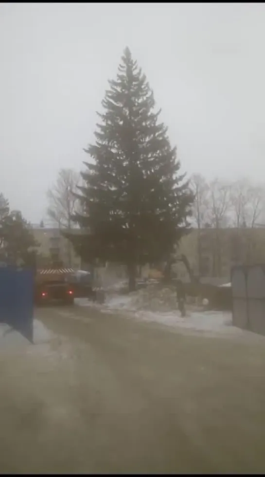 Видео от ЧП Омск