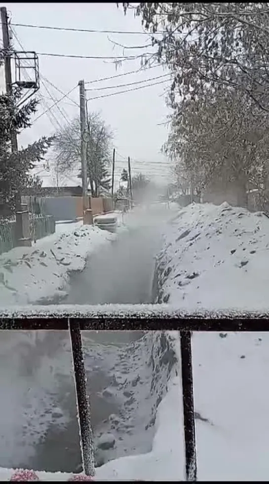 Видео от Натальи Корьковой