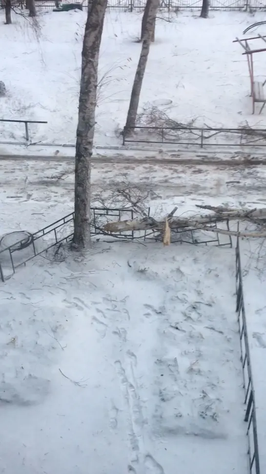 Видео от Юлии Савинкиной