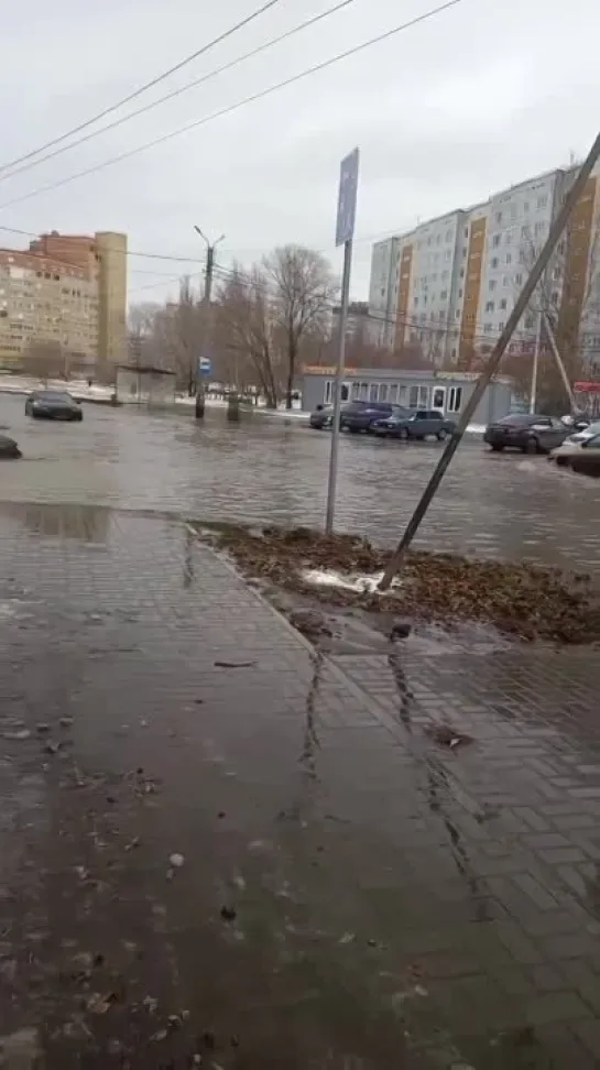 Видео от ЧП Омск