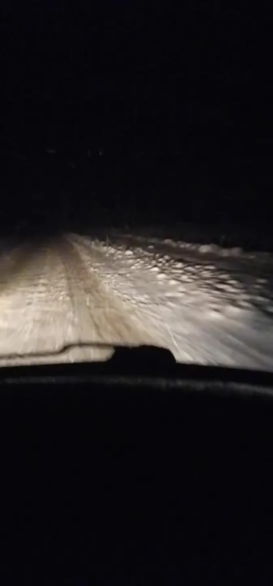 Видео от ЧП Омск