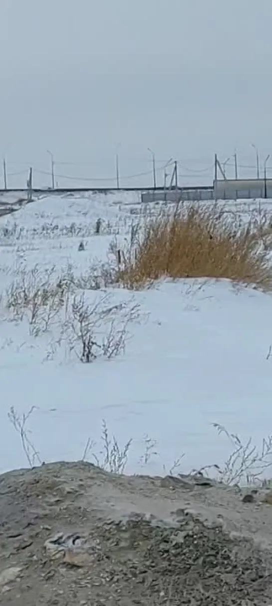 Видео от ЧП Омск