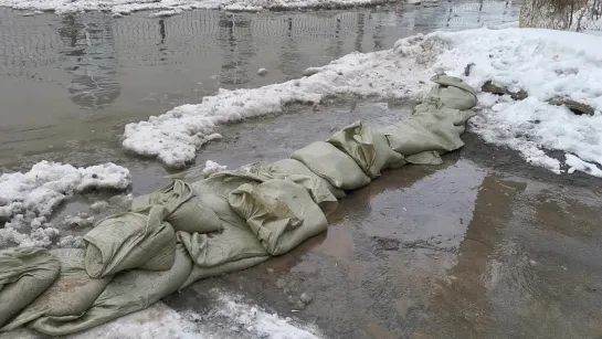 Видео от ЧП Омск