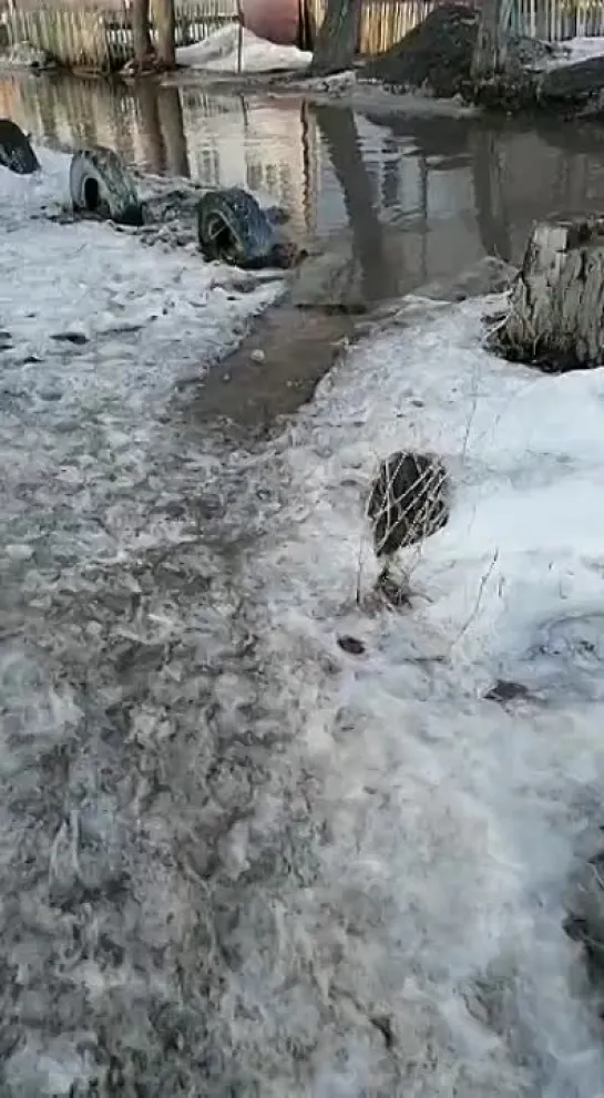 Видео от ЧП Омск