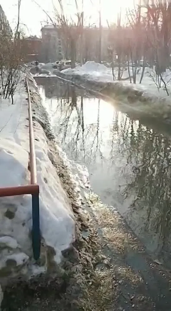 Видео от ЧП Омск