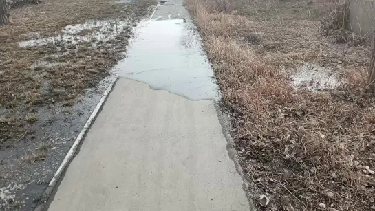 Видео от ЧП Омск