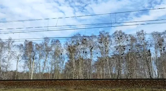 Видео от ЧП Омск