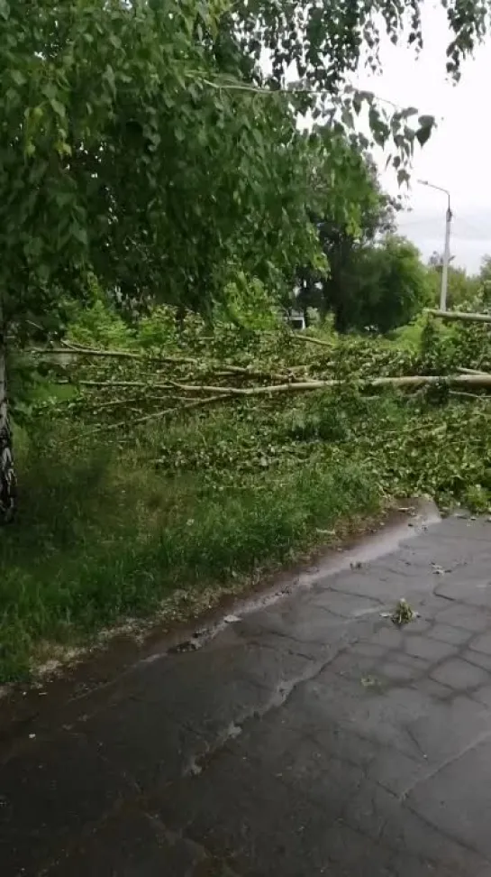 Видео от ЧП Омск