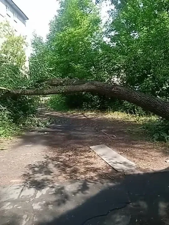 Видео от ЧП Омск