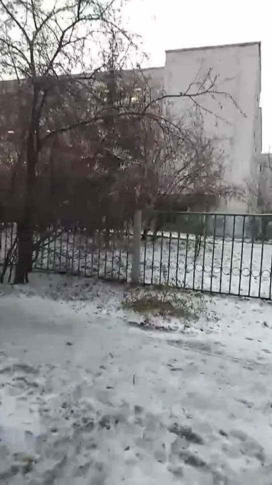 Видео от ЧП Омск