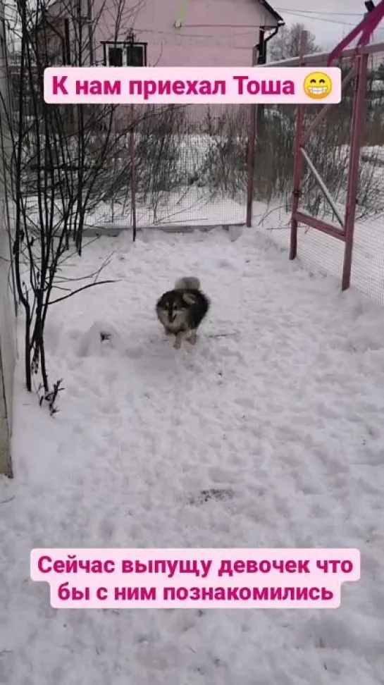 Видео от Дианы Васильевой