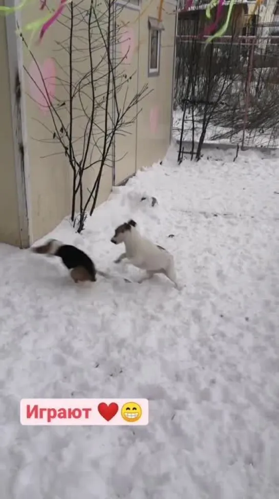 Видео от Дианы Васильевой