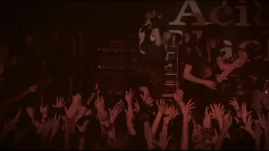 Acid Black Cherry 2015 livehouse tour S Live - 16. S to M