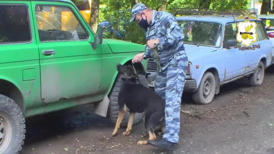 "Заминированный" двор в Смоленске