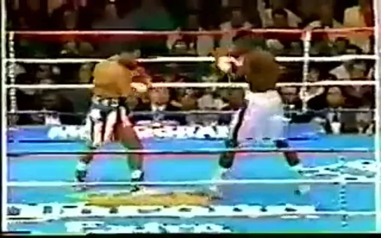 1994-01-29 Felix Trinidad vs Hector "Macho" Camacho (IBF Welterweight Title)