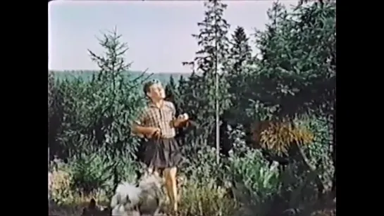 Дым в лесу (1955)