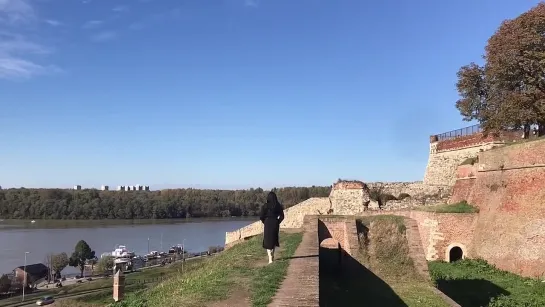 Predrag Zivkovic Tozovac - Oči jedne žene