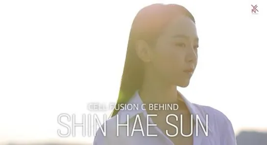 Shin Hye Sun