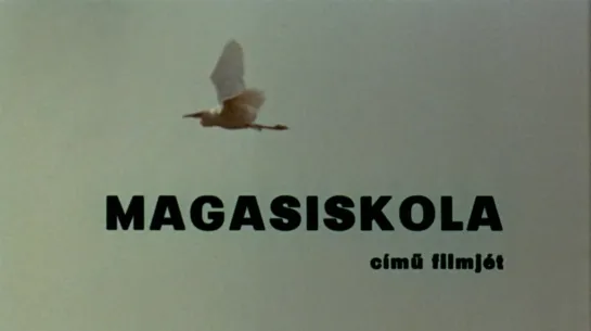 István Gaál "Magasiskola" 1970