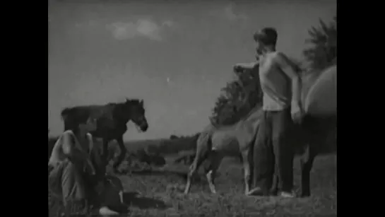 «Кубанцы» (1939) - драма, реж. Матвей Володарский, Николай Красий.