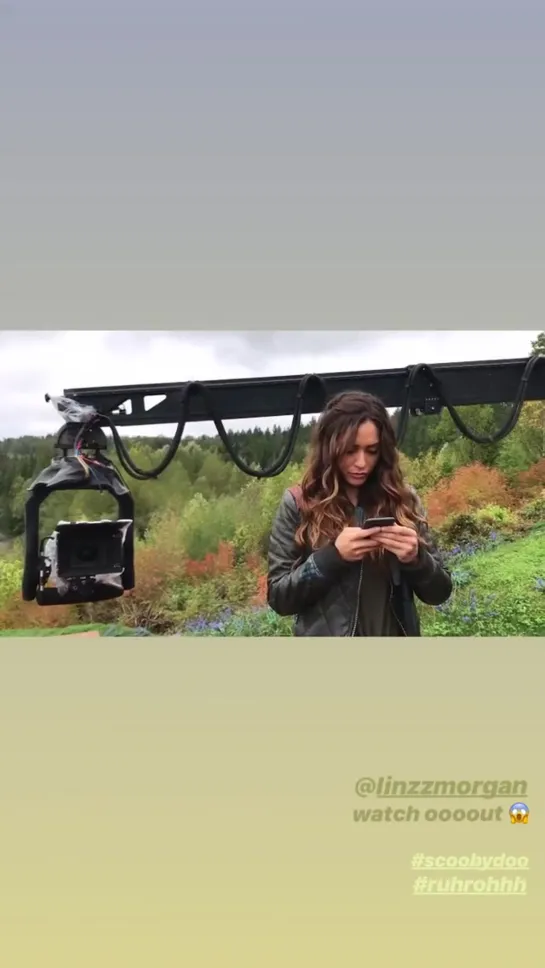 The 100