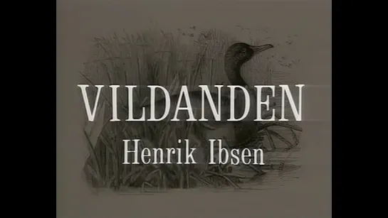 Bo Widerberg "Vildanden" 1989