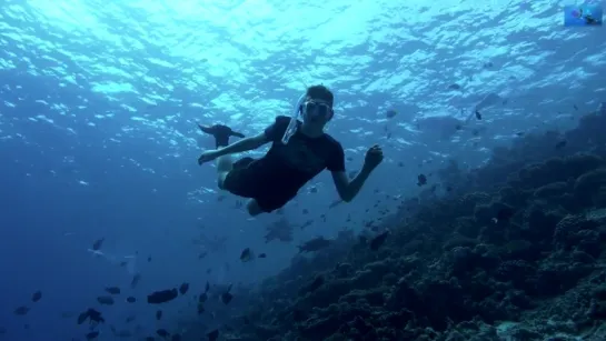 Эмбуду, Мальдивы / Embudu, Maldives