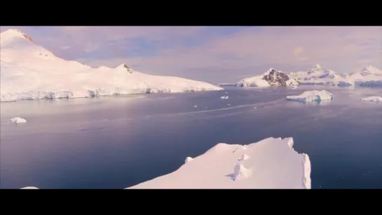 Антарктида / Antarctica