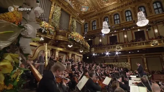 Wiener Philharmoniker New Year's Concert 2019 & Johann Strauss Sohn - An der schönen blauen Donau, Walzer op. 314