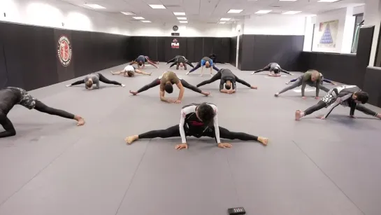 Dynamic Stretching Workout for Jiu Jitsu ¦ Cobrinha BJJ